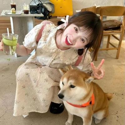 孤胆江湖